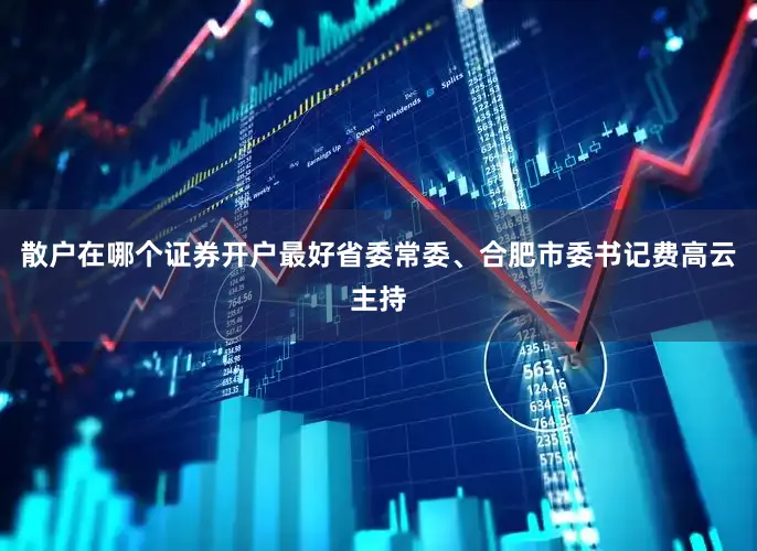 散户在哪个证券开户最好省委常委、合肥市委书记费高云主持